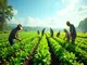 bmz-foerderung-der-nachhaltigen-landwirtschaft-weltweit