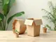 innovation-vessel-die-naechste-stufe-der-nachhaltigen-verpackung