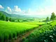 kriteriensystem-fuer-nachhaltige-landwirtschaft-eine-uebersicht