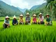 nachhaltige-landwirtschaft-auf-den-philippinen-chancen-und-herausforderungen