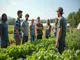 nachhaltige-landwirtschaft-ausbildungsmoeglichkeiten-im-ueberblick
