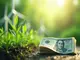 nachhaltigkeitsbericht-der-umweltbank-nachhaltige-finanzloesungen-fuer-eine-gruene-wirtschaft