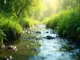 unsere-wichtigste-ressource-wasser